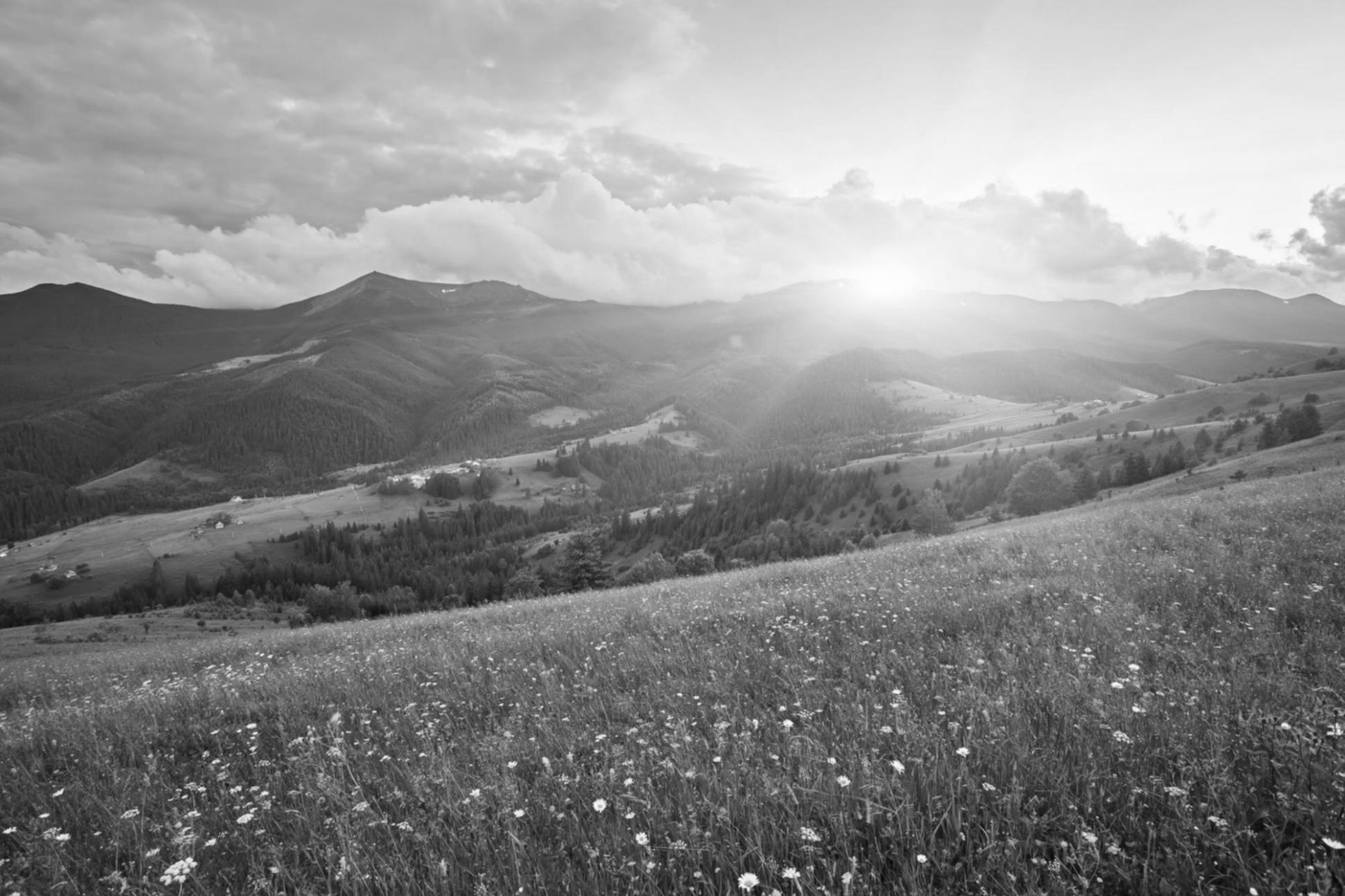 Étudiant consultant des archives sédimentaires numériques sur ordinateur portable
