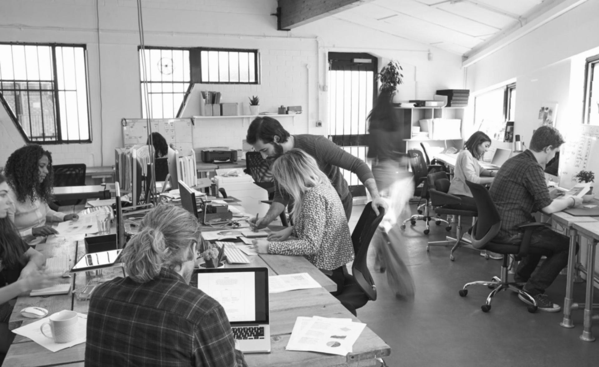 Analyse microscopique de pollens fossiles en laboratoire de recherche